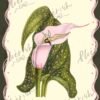 Fairy Flower Art - DIGITAL DOWNLOAD